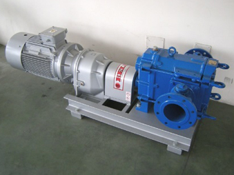 ROTARY LOBE PUMP